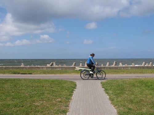 rower ścieżka flickr