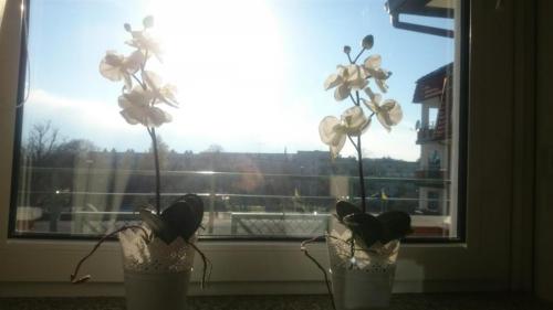 sypialnia nieb (3) (Large)